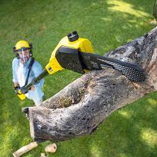 Best Lawn Mowing  in Capitol View, SC